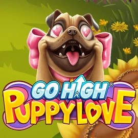 Go High Puppy Love online game logo by RubyPlay on sslottcasino.com